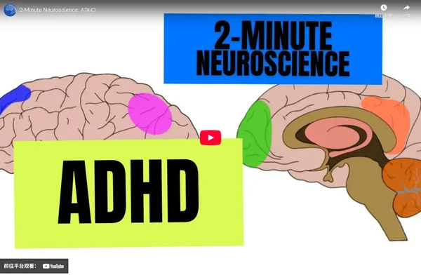 2분 신경과학: ADHD
